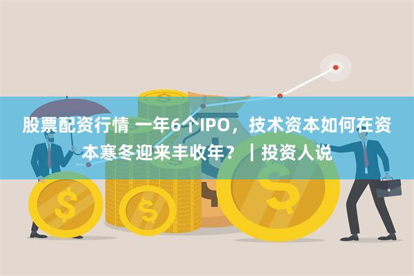 股票配资行情 一年6个IPO，技术资本如何在资本寒冬迎来丰收年？｜投资人说