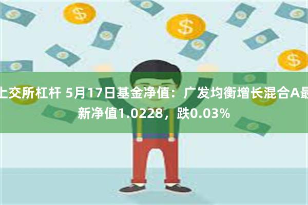 上交所杠杆 5月17日基金净值：广发均衡增长混合A最新净值1.0228，跌0.03%