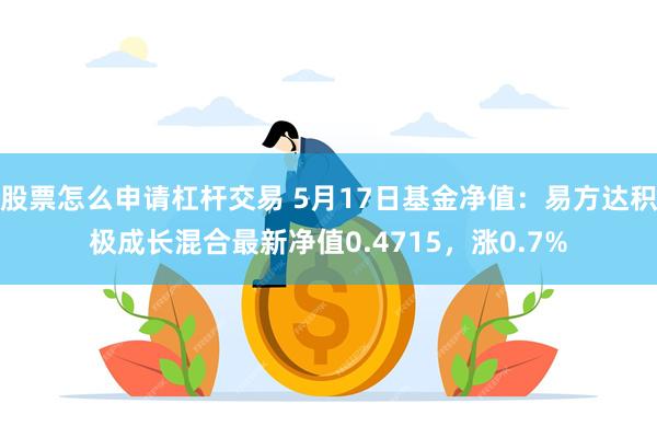 股票怎么申请杠杆交易 5月17日基金净值：易方达积极成长混合最新净值0.4715，涨0.7%