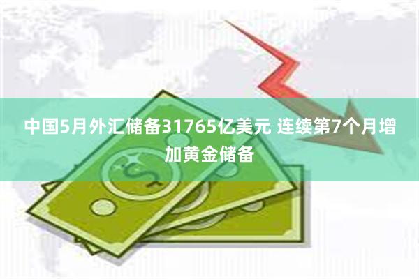 中国5月外汇储备31765亿美元 连续第7个月增加黄金储备