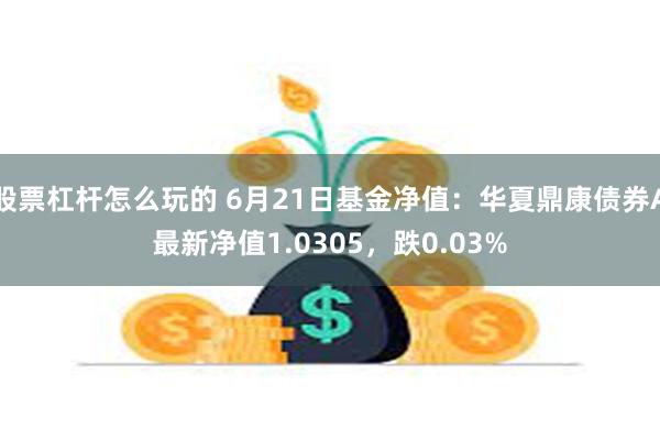 股票杠杆怎么玩的 6月21日基金净值：华夏鼎康债券A最新净值1.0305，跌0.03%