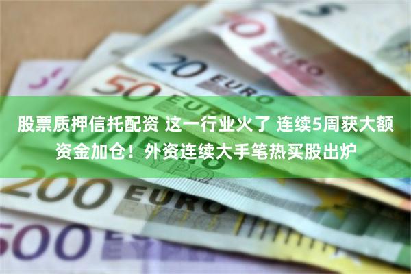 股票质押信托配资 这一行业火了 连续5周获大额资金加仓！外资连续大手笔热买股出炉