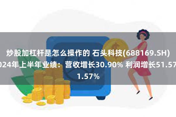 炒股加杠杆是怎么操作的 石头科技(688169.SH)2024年上半年业绩：营收增长30.90% 利润增长51.57%