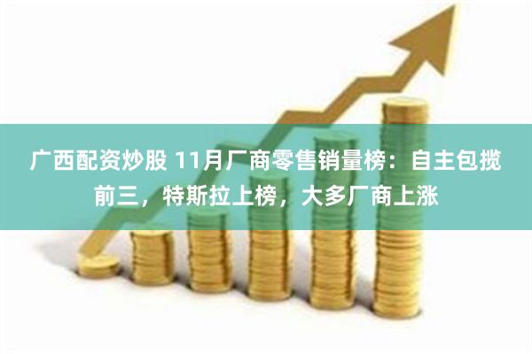 广西配资炒股 11月厂商零售销量榜：自主包揽前三，特斯拉上榜，大多厂商上涨