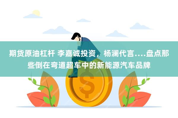 期货原油杠杆 李嘉诚投资，杨澜代言….盘点那些倒在弯道超车中的新能源汽车品牌