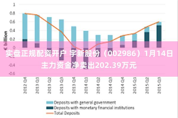 实盘正规配资开户 宇新股份（002986）1月14日主力资金净卖出202.39万元