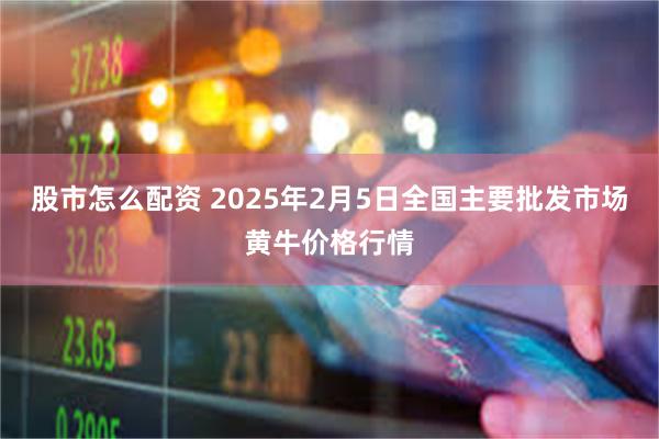 股市怎么配资 2025年2月5日全国主要批发市场黄牛价格行情