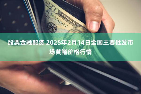 股票金融配资 2025年2月14日全国主要批发市场黄鳝价格行情