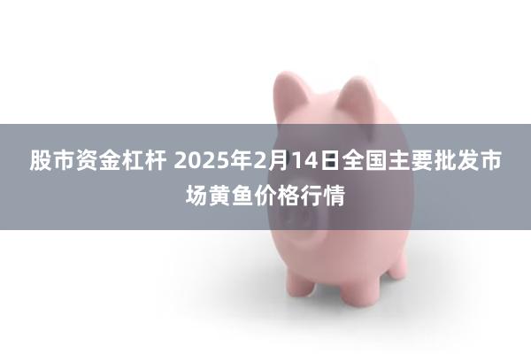 股市资金杠杆 2025年2月14日全国主要批发市场黄鱼价格行情