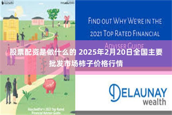 股票配资是做什么的 2025年2月20日全国主要批发市场柿子价格行情